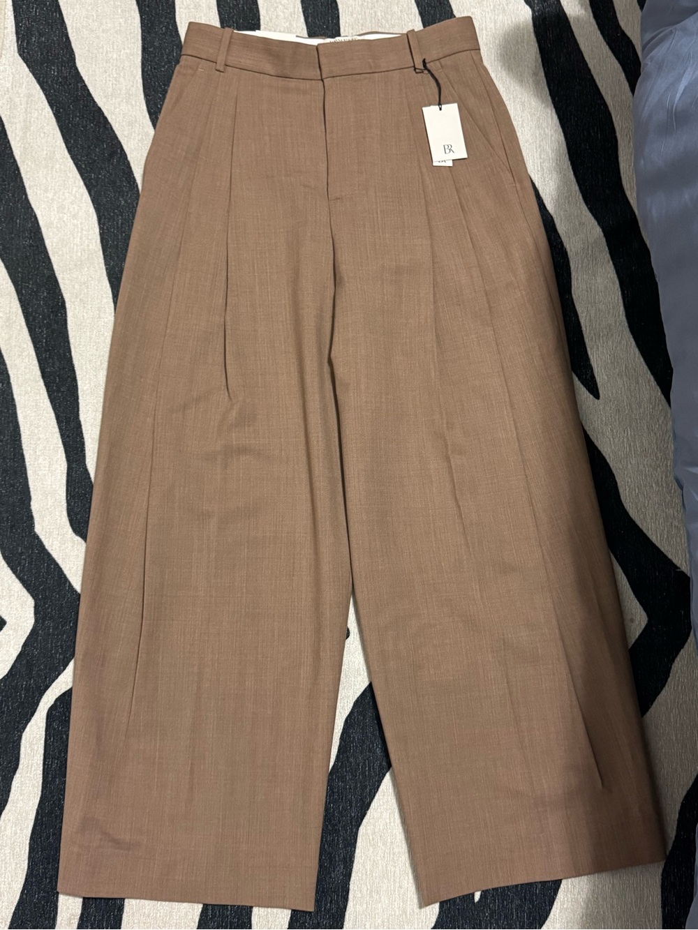 Banana Republic High Rise Wide-Leg Pleated Pants